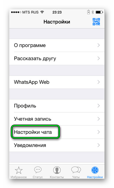 Настройки чата в WhatsApp iOS